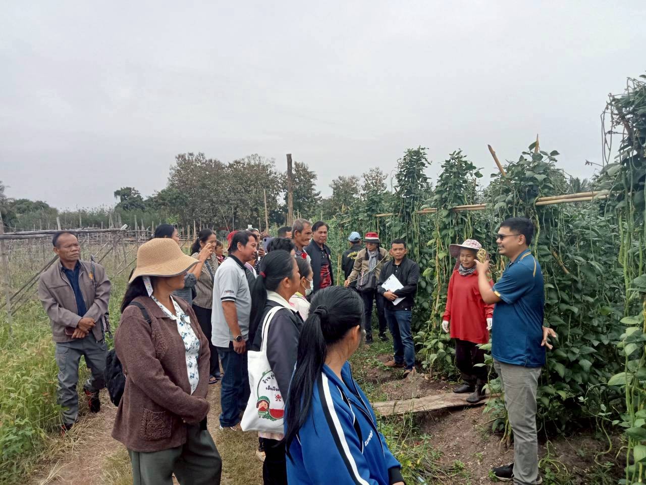 title - ส.ป.ก.พิษณุโลก จัดฝึกอบรมเกษตรกรภายใต้โครงการระบบส่งเสริมการเกษตรแบบแปลงใหญ่ในเขตปฏิรูปที่ดิน ปีงบประมาณ พ.ศ. 2569 หลักสูตร “การศึกษาดูงานเพื่อพัฒนาทักษะและแลกเปลี่ยนประสบการณ์ด้านการผลิตเมล็ดพันธุ์พืชผัก”